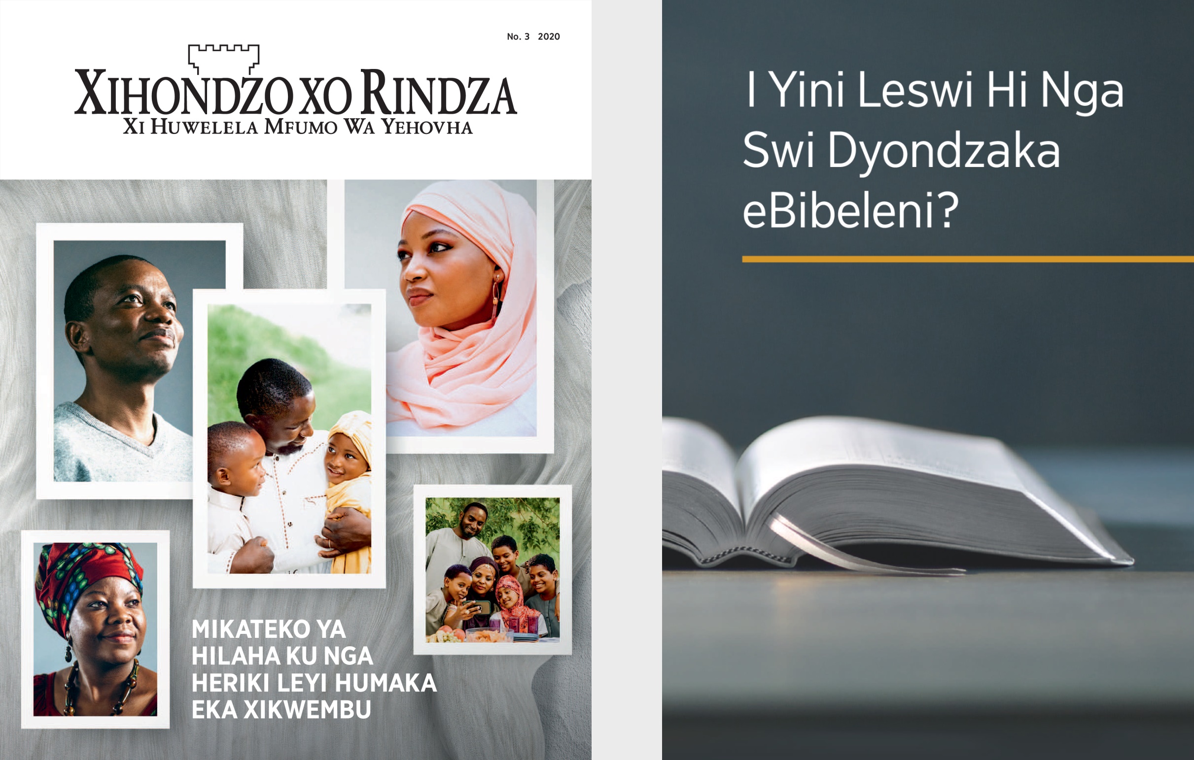 Buku leyi nge, ‘I Yini Leswi Hi Nga Swi Dyondzaka eBibeleni?’ na ‘Xihondzo xo Rindza’ No. 3 2020.