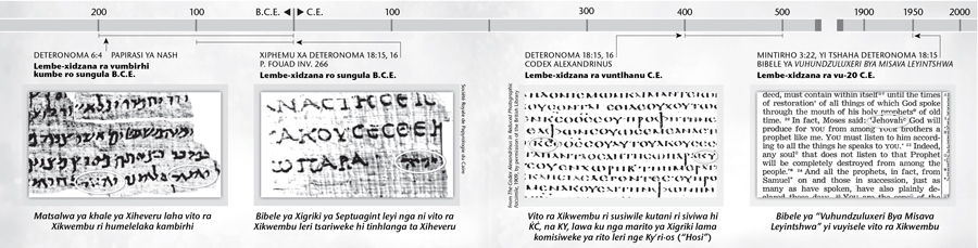 The divine name in original Bible texts