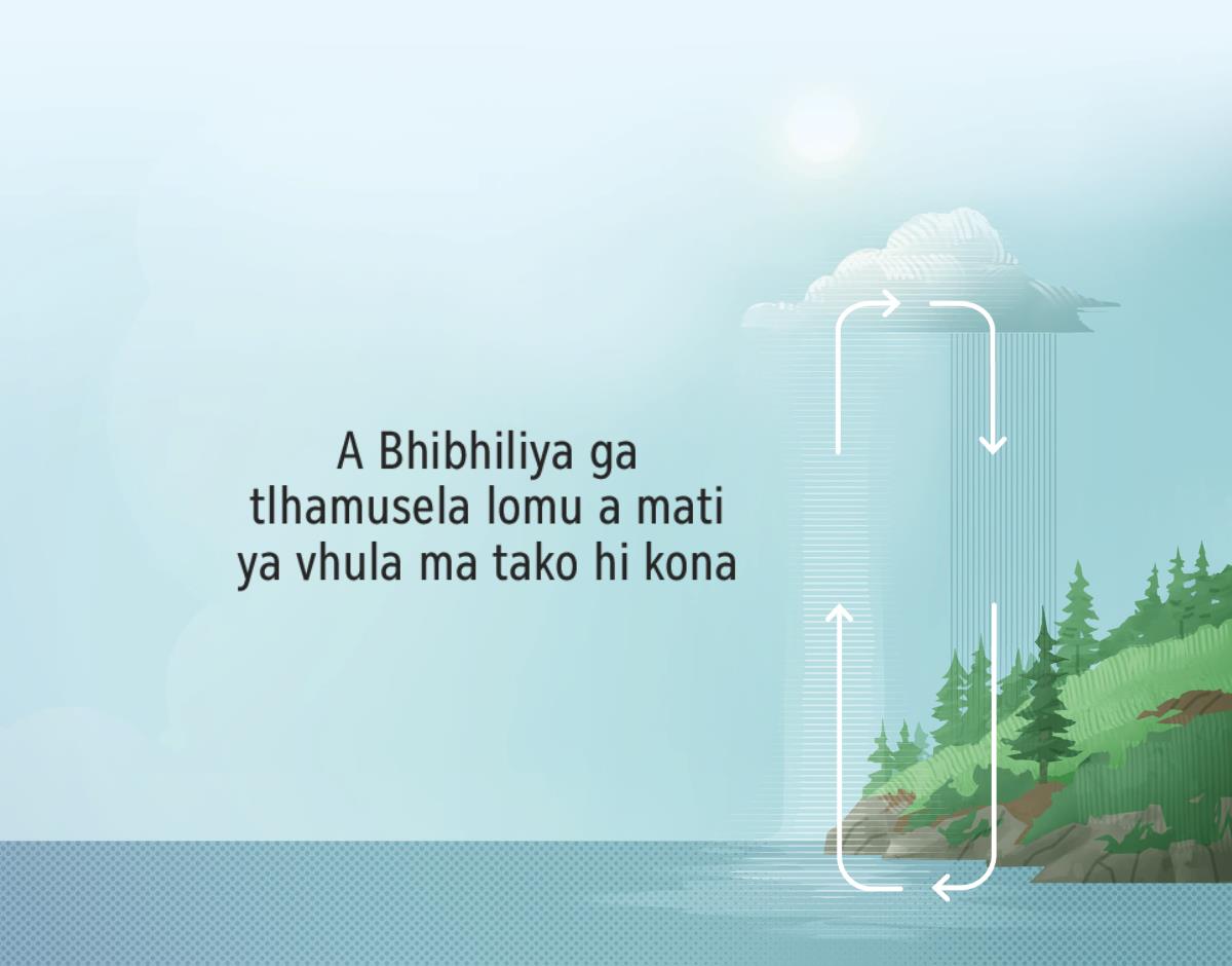 A Bhibhiliya ga tlhamusela lomu a mati ya vhula ma tako hi kona. A tiseta ti rendzelekela tiya cineneni na ti komba lezvi a mati ma fambisako zvona ku sukela laha misaveni maya hehla ma tlhela ma wuya.