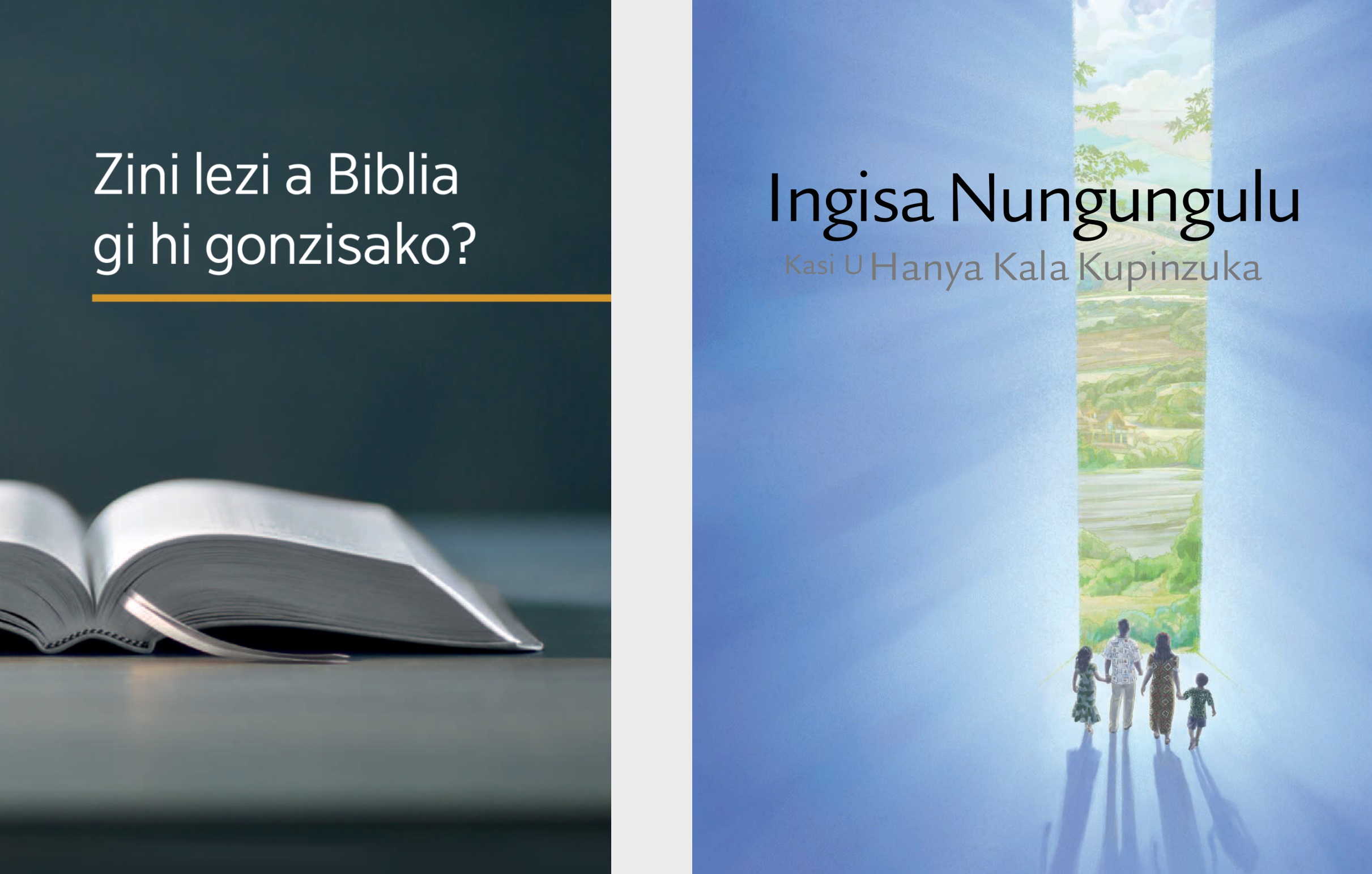 Bhuku Zini levi a Biblia gi hi gonzisako? ni broxura Ingisa Nungungulu kasi u hanya kala kupinzuka.