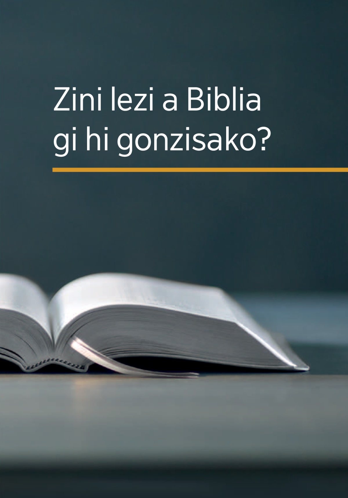Bhuku ‘Zini lezi a Biblia gi hi gonzisako?’