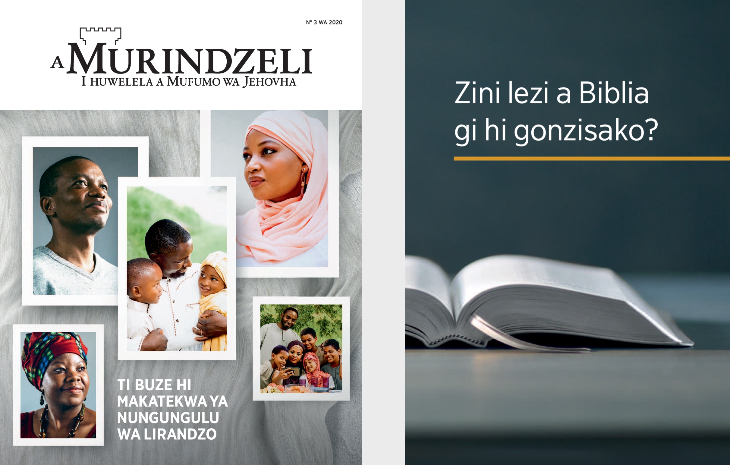 Bhuku ‘Zini lezi a Biblia gi hi gonzisako?’ ni Murindzeli wa N.° 3 wa 2020.