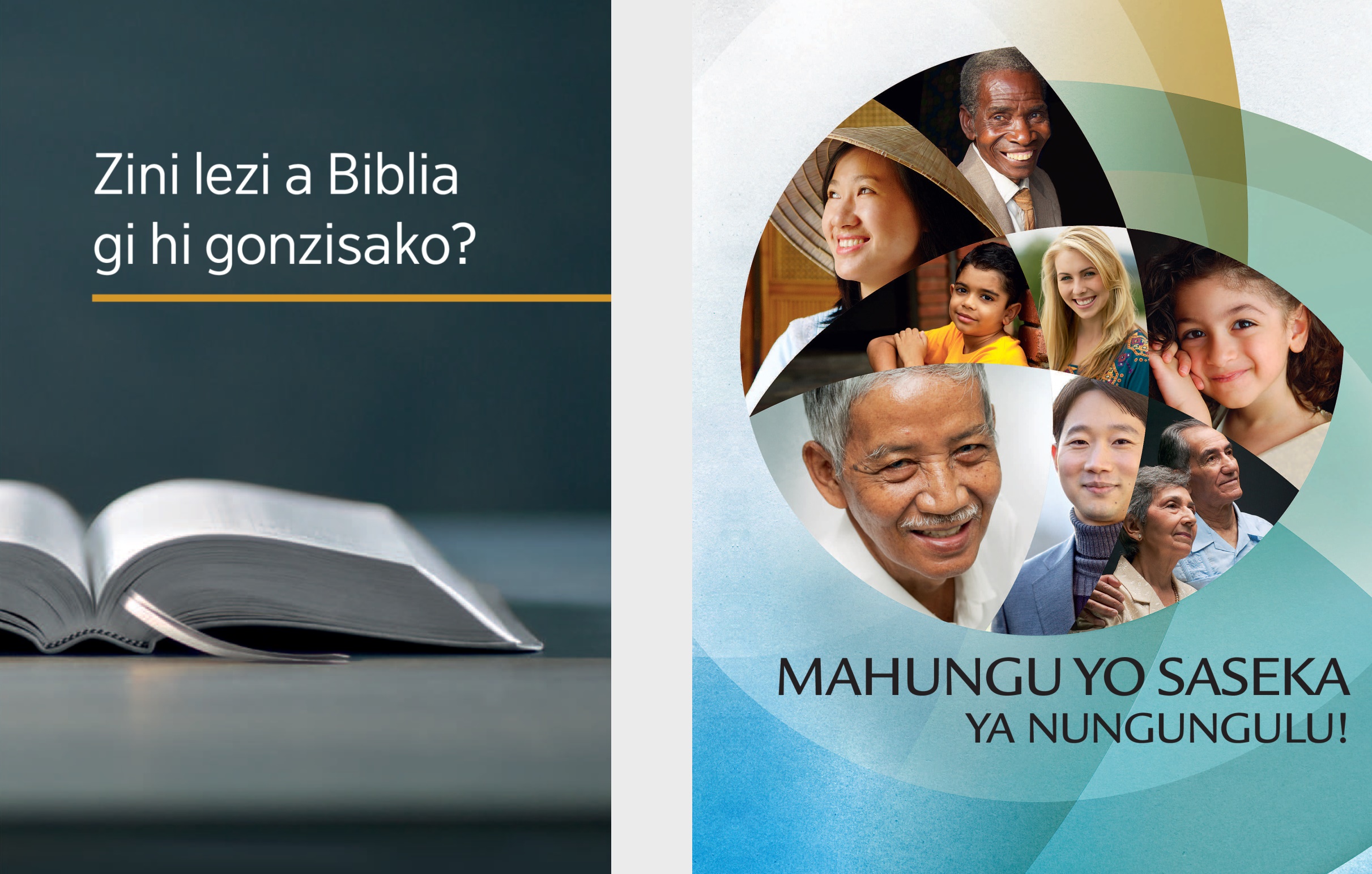 Bhuku Zini levi a Biblia gi hi gonzisako? ni broxura Ingisa Nungungulu kasi u hanya kala kupinzuka.