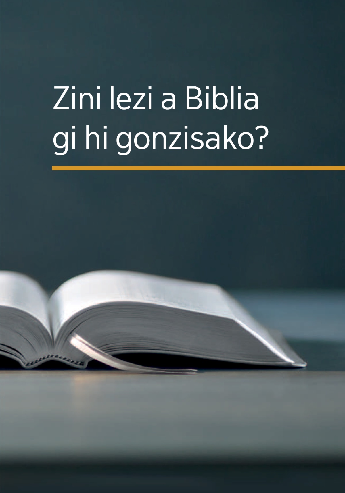 Bhuku ‘Zini lezi a Biblia gi hi gonzisako?’