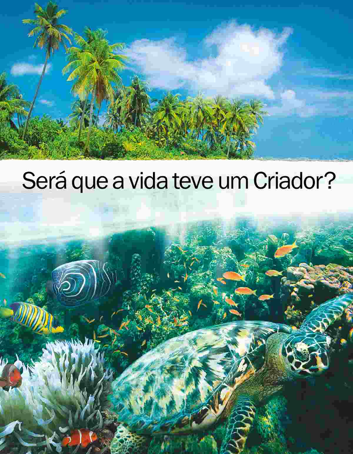Broxura “Será Que a Vida Teve Um Criador?”