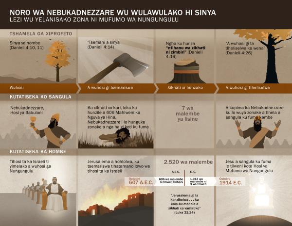 Kwadru ga masiku ni zimaho zi wulawulako hi noro wa Nebukadnezzare