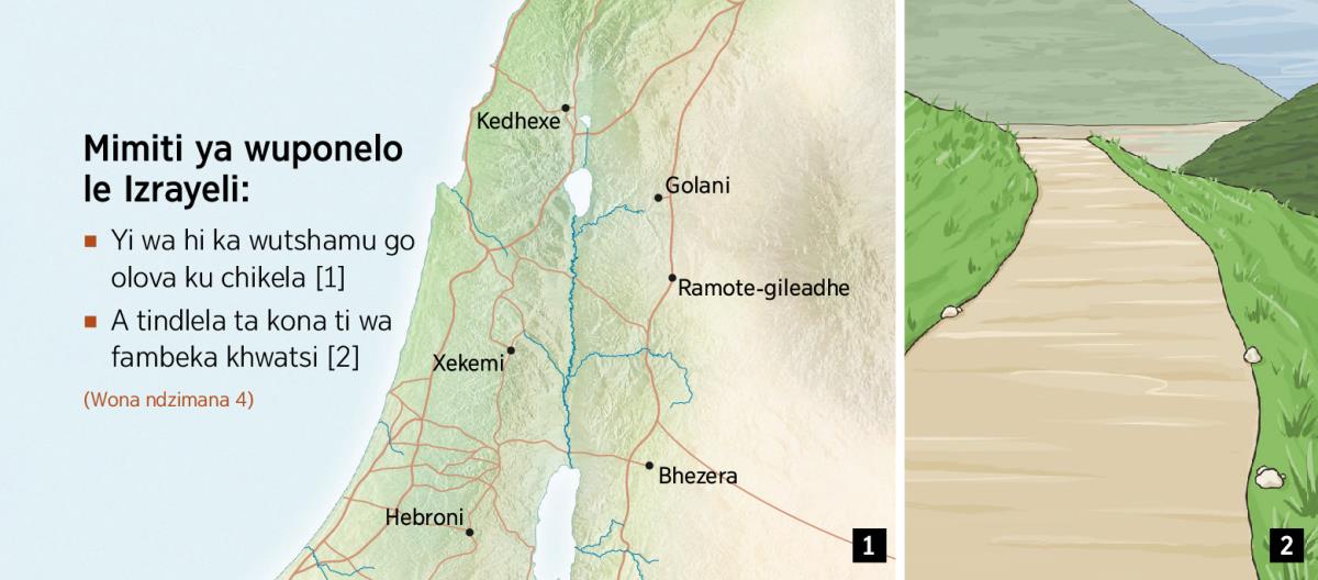 Mapa wu kombisako a 6 wa mimiti ya wuponelo ya le Izrayeli ni ndlela yo hlayiseka khwatsi