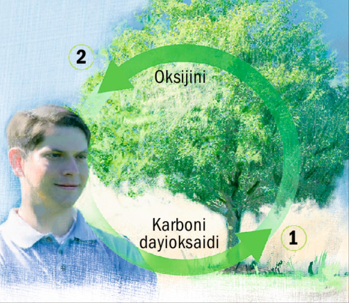 Kuwezgerapo karboni daioksaidi na oksijini
