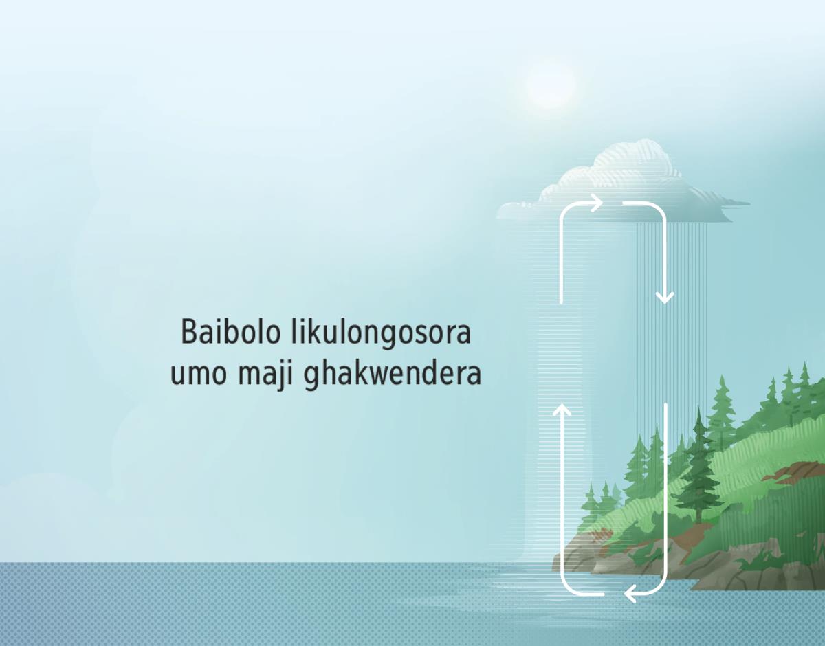 Baibolo likulongosora umo maji ghakwendera. Tumivi tukulongora umo maji ghakwendera.