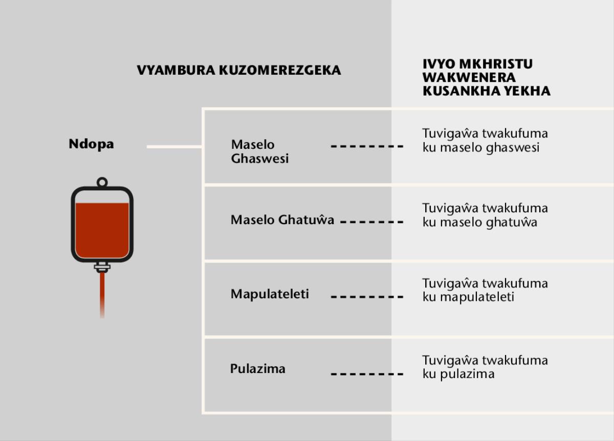 Ndopa, vigaŵa vikuruvikuru vinayi, na vigaŵa vichokovichoko