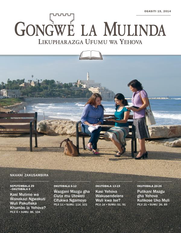 Cikopi ca Gongwe la Mulinda Lakusambira pa Mpingo, Ogasiti 15, 2014