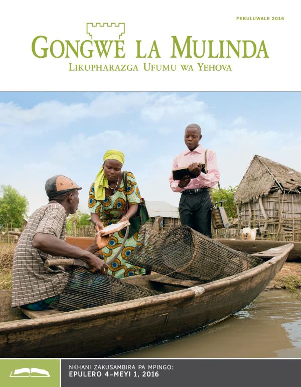 Gongwe la Mulinda Lakusambira pa Mpingo, Febuluwale 2016