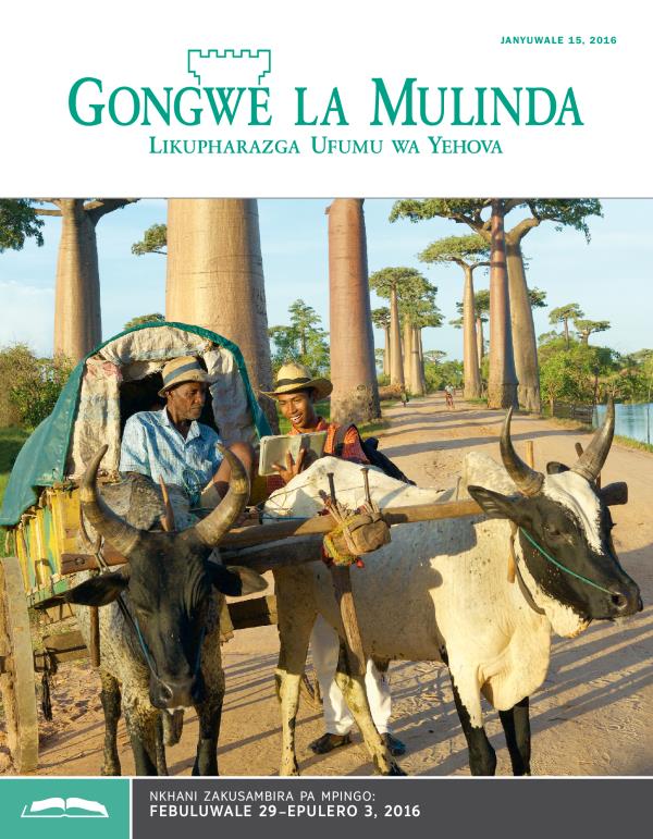 Chikopi cha Gongwe la Mulinda Lakusambira pa Mpingo la Janyuwale 15, 2016