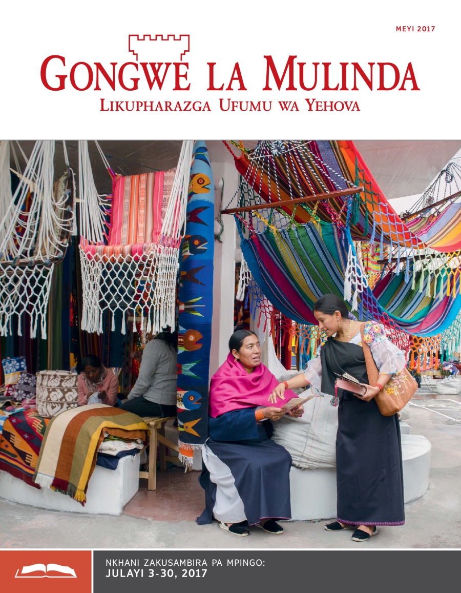 Gongwe la Mulinda Lakusambira, Meyi 2017