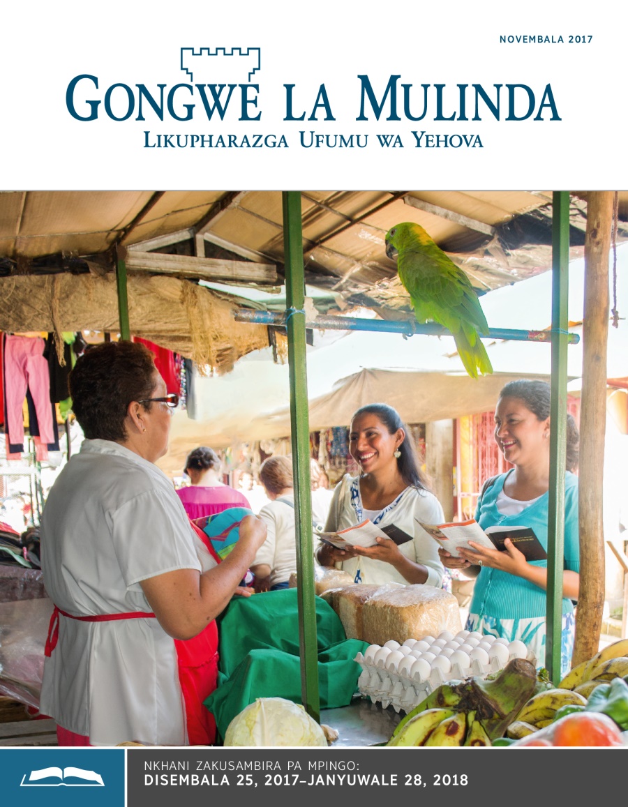 Gongwe la Mulinda Lakusambira, Novembala 2017