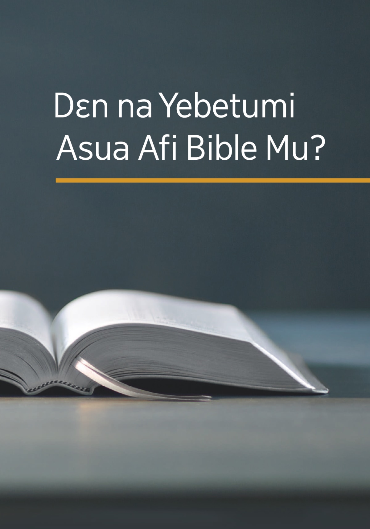 ‘Dɛn na Yebetumi Asua Afi Bible Mu?’ nhomawa no