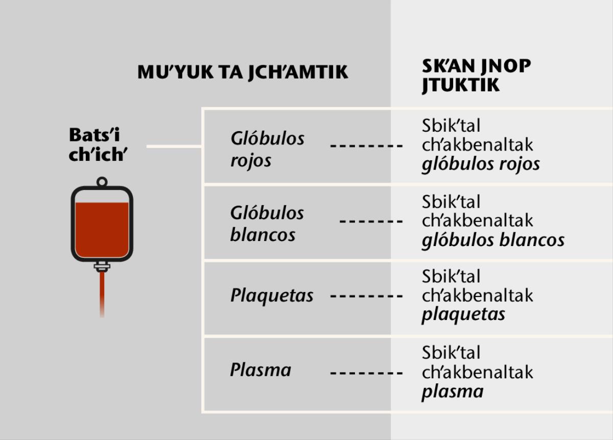 Chʼichʼ, chanib smukʼta chʼakbenaltak chʼichʼ xchiʼuk sbikʼtal chʼakbenaltak
