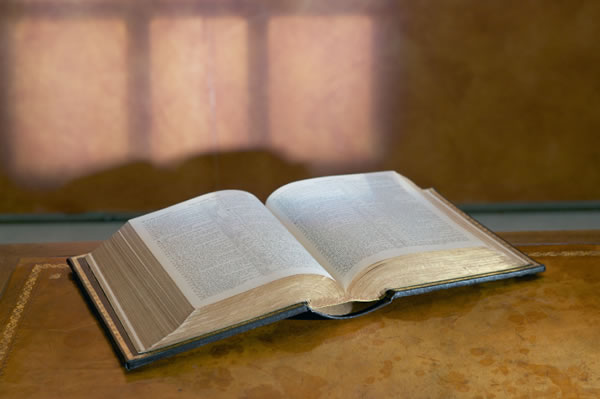 [Ілюстрація]