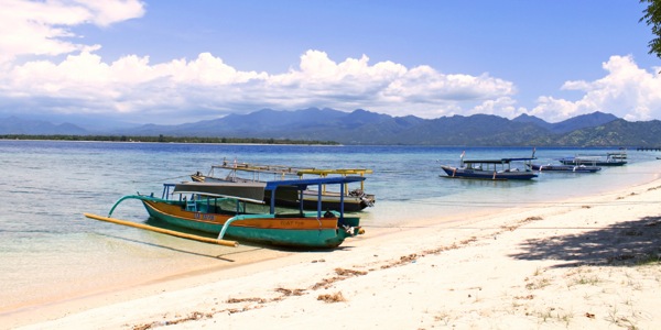 [Ілюстрація на сторінці 12]