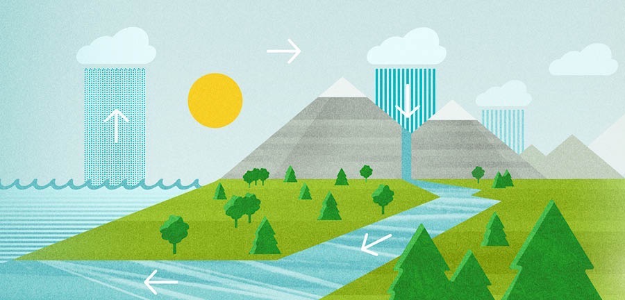 Кругообіг води включає випаровування, конденсацію та опади