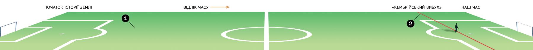 Часова лінія завдовжки з футбольне поле показує час від початку історії Землі до «кембрійського вибуху»