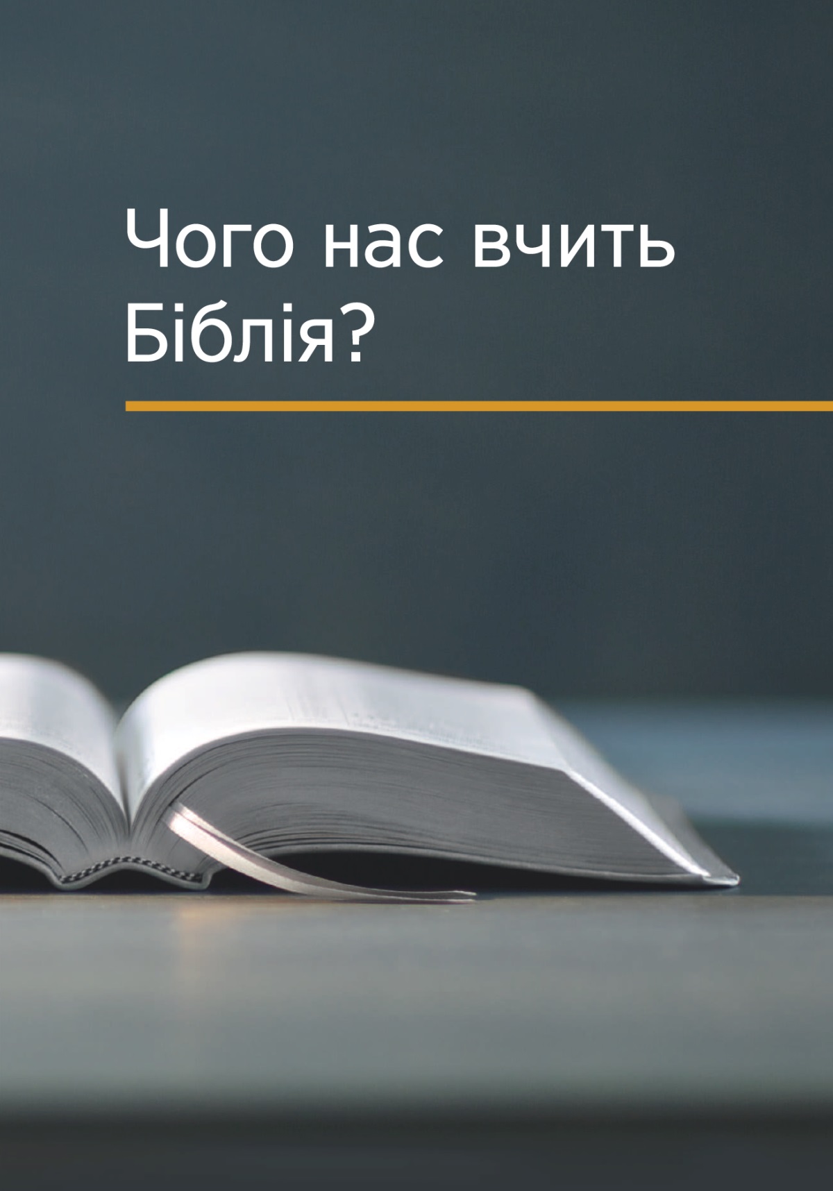 Книжка «Чого нас вчить Біблія?»