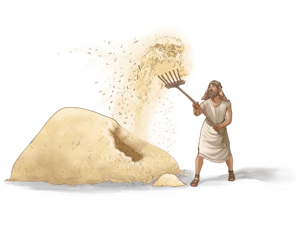 Провіювання зерна