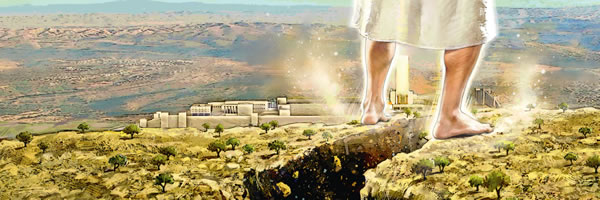 [Ілюстрація на сторінці 17]