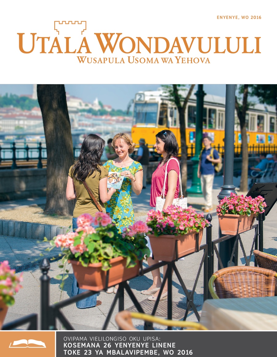 Utala Wondavululi Welilongiso wosãi Yenyenye, wo 2016