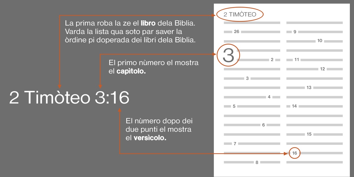 Come catar i versìcoli dela Bìblia con 2 Timòteo 3:16 come un esémpio. La prima parte la mostra el libro dela Bìblia, come 2 Timòteo (varda la lista qua soto par veder la òrdine pi cognossesta de libri dela Bìblia). El primo nùmero l’è el capìtolo, come el capìtolo 3. El nùmero o i nùmeri che i vien dopo i mostra el versìcolo o i versìcoli par leder, come el versìcolo 16.