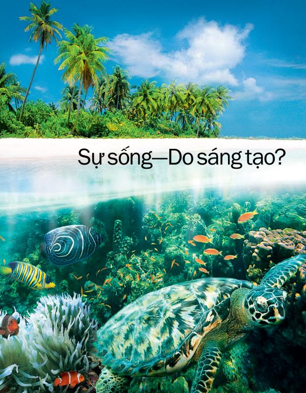 Bìa sách mỏng Sự sống—Do sáng tạo?