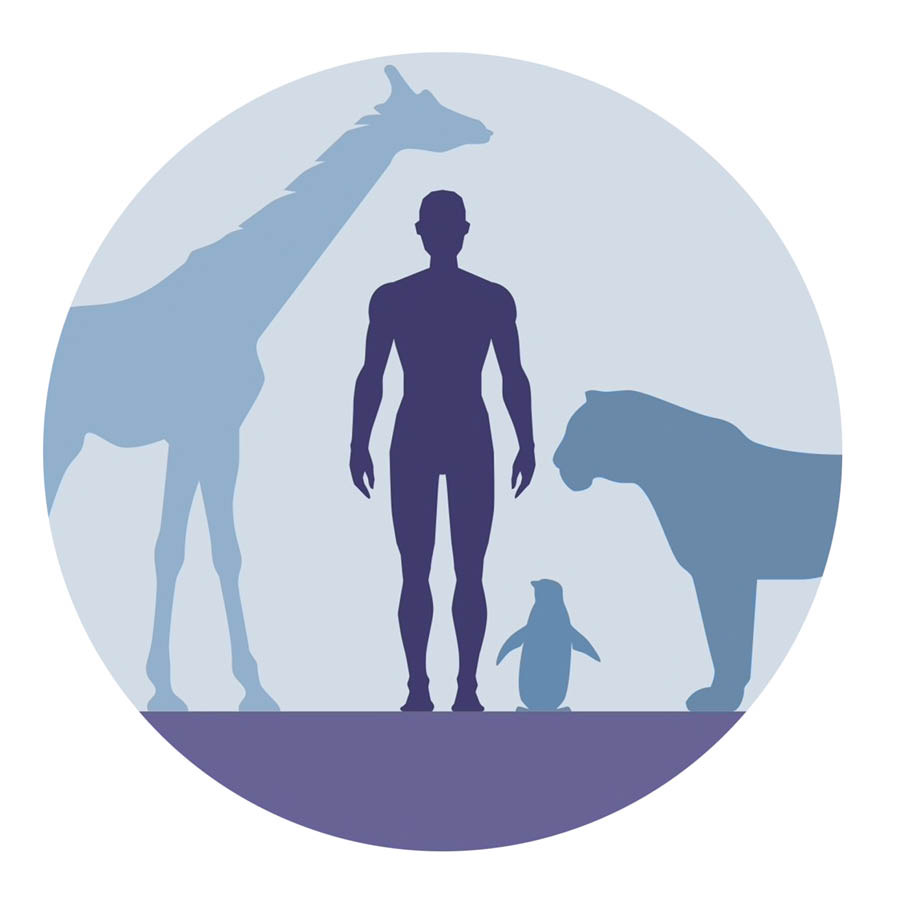 Động vật trên cạn và con người.