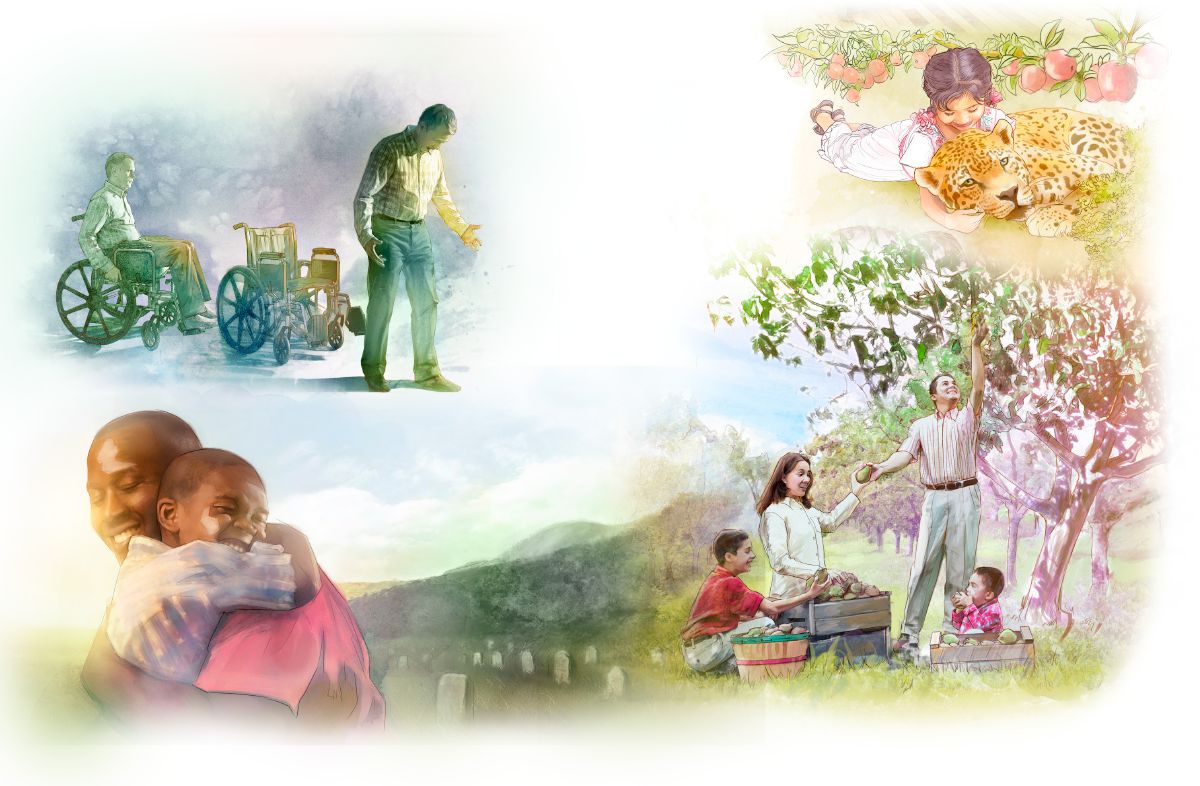 Một người đàn ông ngồi xe lăn giờ bước đi, một em gái vuốt ve con báo, một gia đình hái trái cây, người ta đoàn tụ khi có sự sống lại