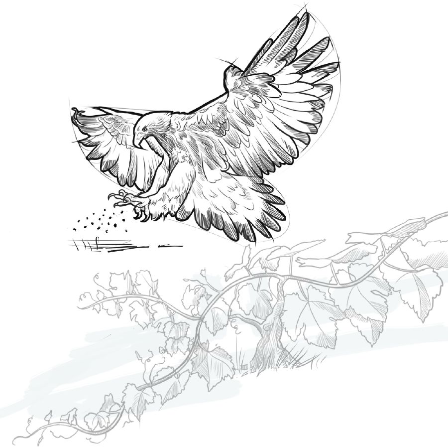 Hình ghép: 1. Con đại bàng gieo hạt giống trên một cánh đồng. 2. Một cây nho thấp.