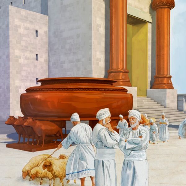 [Hình nơi trang 13]