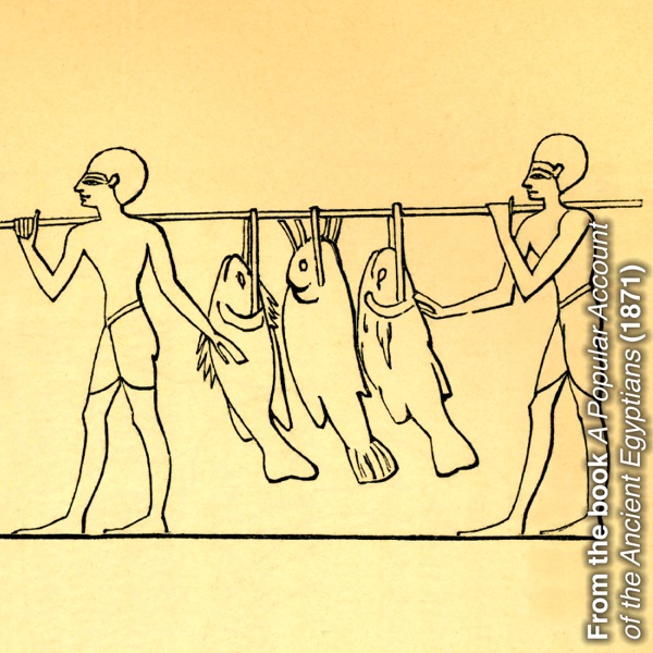 Ngư dân cổ đại đang khiêng cá