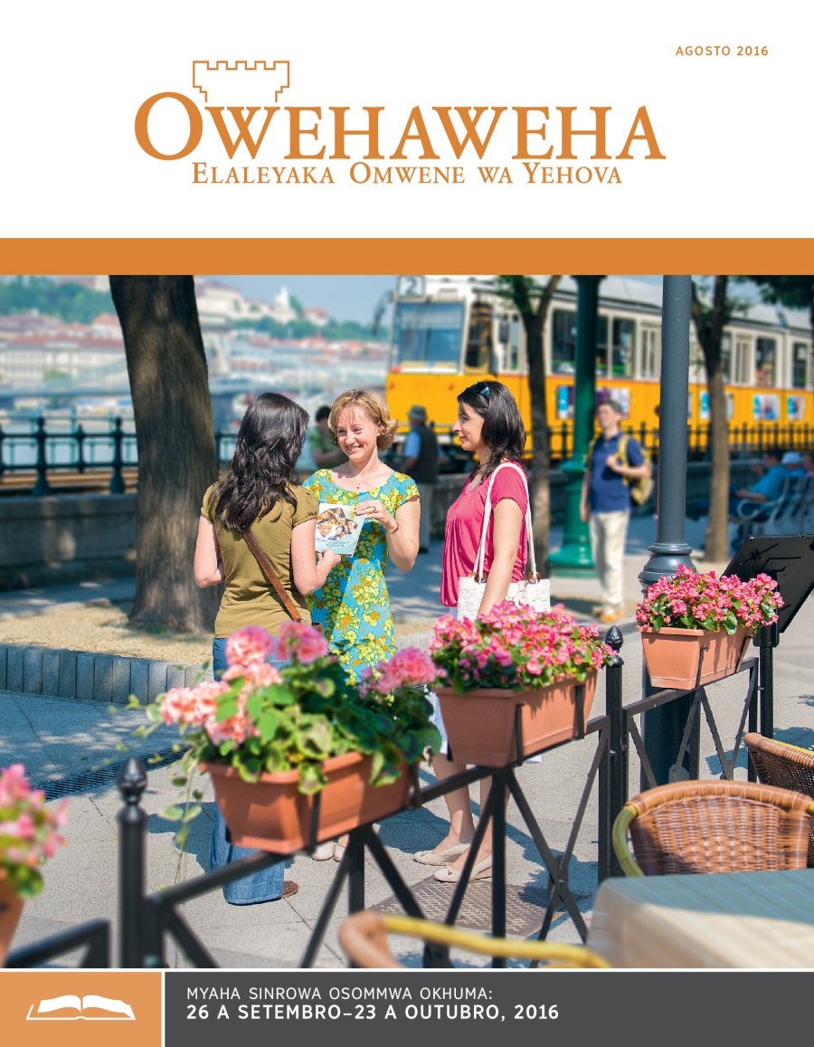 Owehaweha Onisommwa, Agosto 2016