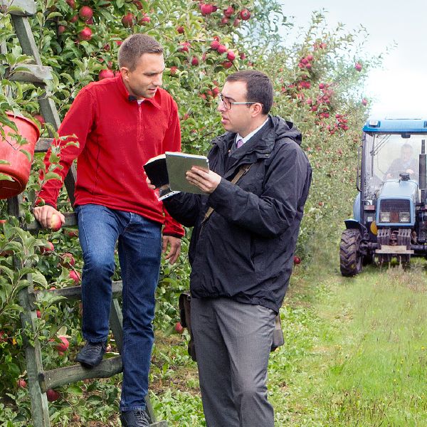 La Atalaya (edición de estudio), julio de 2017