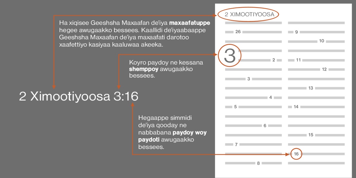 2 Ximootiyoosa 3:16 leemisodan goꞌettidi Geeshsha Maxaafaa xiqiseta demmana danddayiyo ogiyaa. Ha qonccissoy 2 Ximootiyoosa mala, Geeshsha Maxaafan deꞌiya maxaafatuppe awugaa koyanaakko bessees. (kaallidi, Geeshsha Maxaafan deꞌiya maxaafatu kesuwaa darotoo goꞌettiyo meeze gidida maaraa beꞌa). Koyro paydoy, leemisuwawu shemppo 3 giyaagee shemppoy awugaakko bessees. Hegaappe kaalliya paydoy woy paydoti, leemisuwawu paydo 16y, nabbabana xiqisee awugaakko bessees.