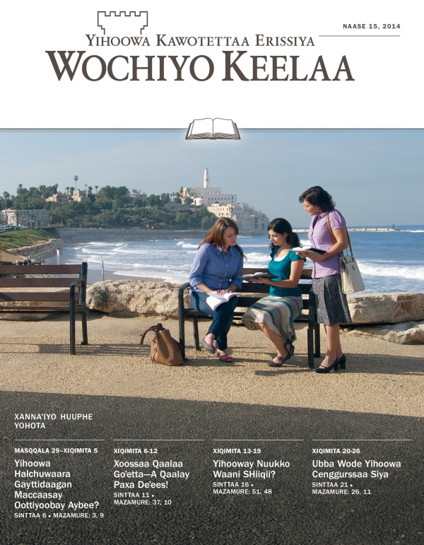 Xannaˈiyo Wochiyo Keelaa koyro sinttaa, Naase 15, 2014