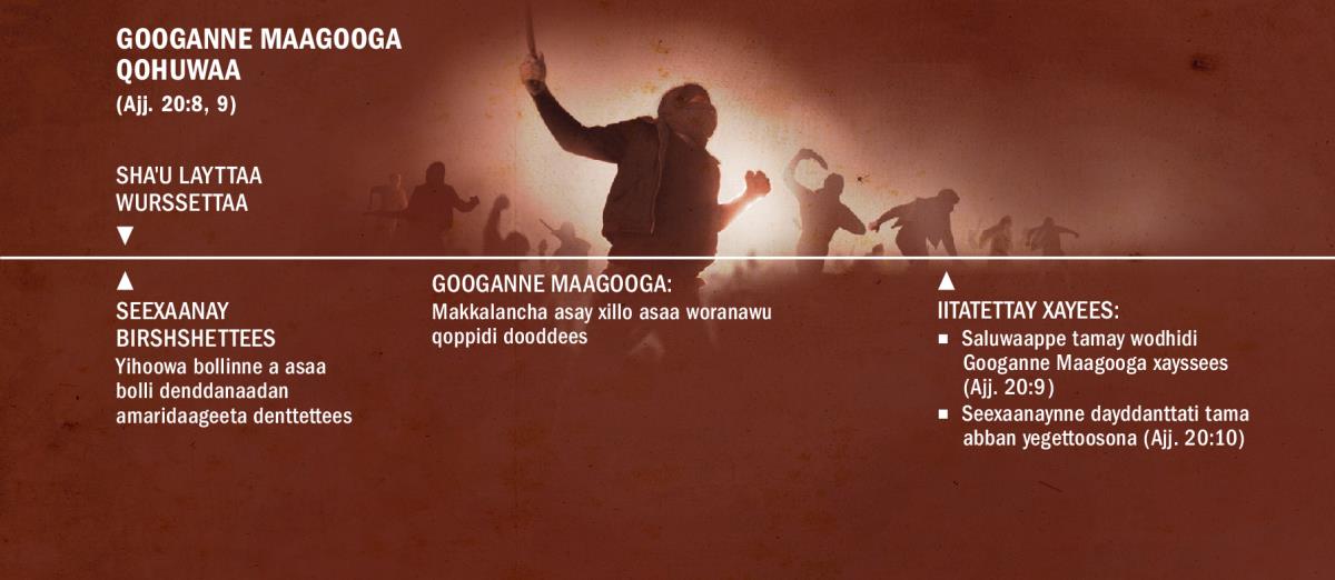 Maagooga Googi 1,000 layttaa wurssettan qohanawu denddiyo wodiyaa malaataa