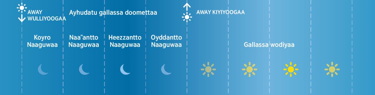 Beni Ayhudati qammaa shaakkiyo oyddu naagota
