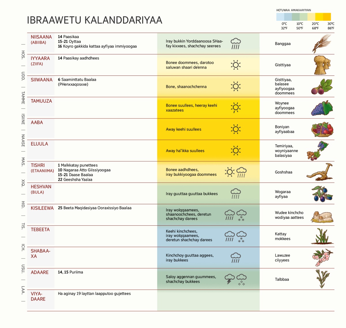 Ibraawetu kalanddariyan aginata, baalata, carkkuwaa hanotatanne kattaa ayfeta bessiya sanxxarazhiyaa.
