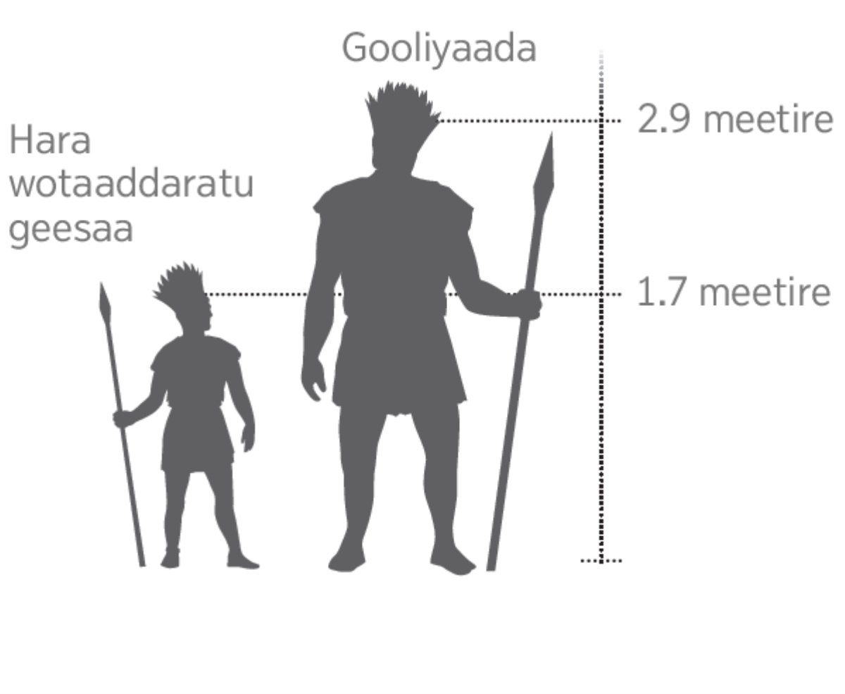 Gooliyaada hara wotaaddaraara geeddarssiya misiliyaa