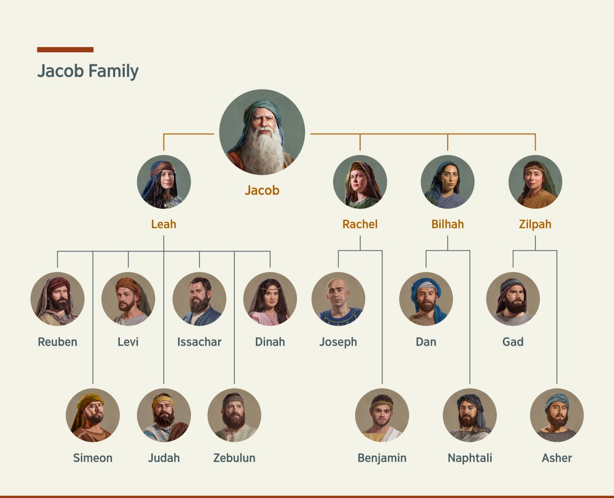 Picture wey de show Jacob and im family. E get two wives, Leah and Rachel, and other two women wey born for-am wey be Bilhah and Zilpah. The children wey Leah born for-am na Reuben, Simeon, Levi, Judah, Issachar, Zebulun, and Dinah. The children wey Rachel born for-am na Joseph and Benjamin. The children wey Bilhah born for-am na Dan and Naphtali. The children wey Zilpah born for-am na Gad and Asher.