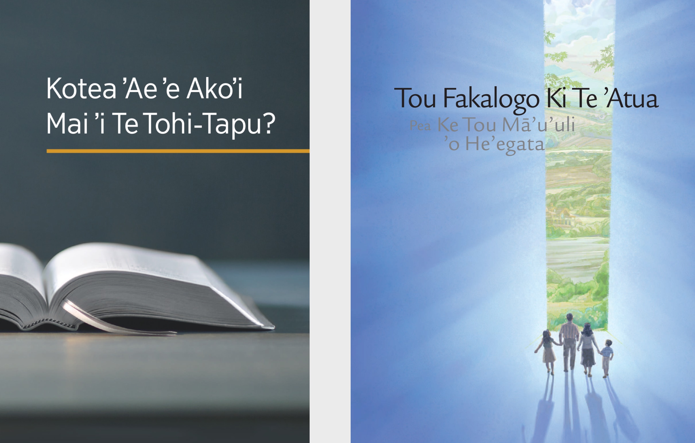 The book ‘What Can the Bible Teach Us?’ and the brochure ‘Listen to God and Live Forever.’