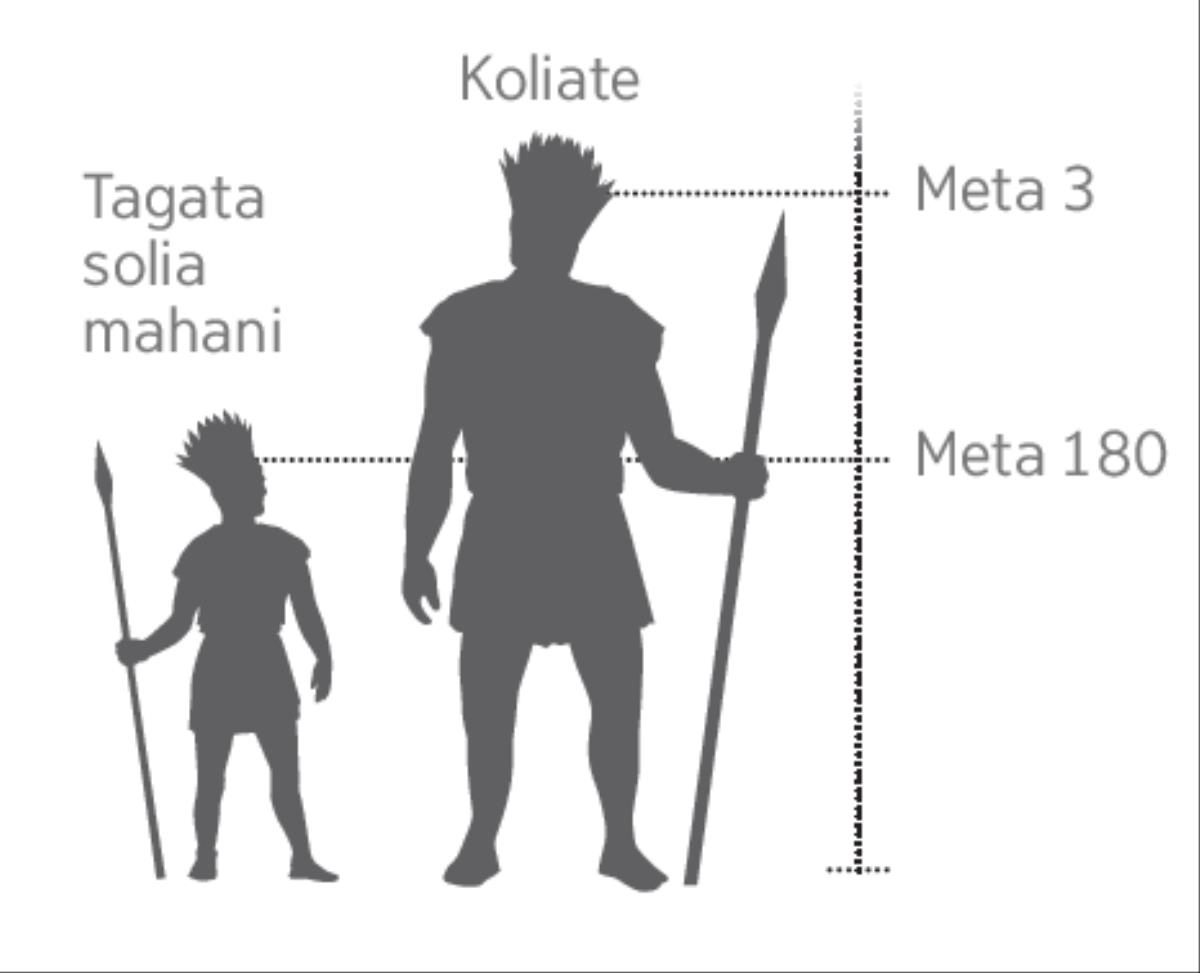 Ko he pāki ʼo te Koliate lahi ʼe fakatatau ki he tagata solia mahani