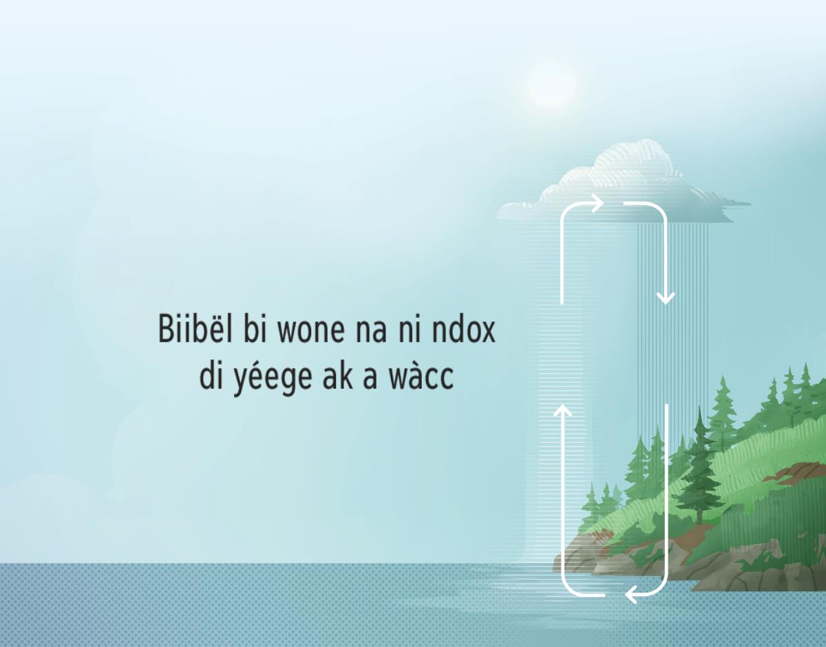Biibël bi wone na ni ndox di yéege ak a wàcc. Rëdd yi, dañuy wone ni ndox mi di yéege ak a wàcc, ci diggante suuf si ak asamaan si.