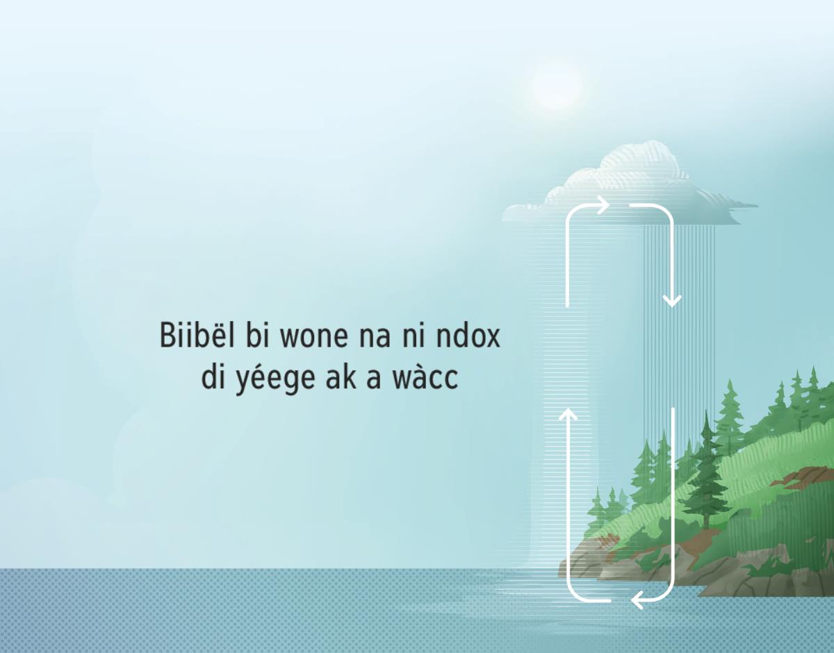 Biibël bi wone na ni ndox di yéege ak a wàcc. Rëdd yi, dañuy wone ni ndox mi di yéege ak a wàcc, ci diggante suuf si ak asamaan si.