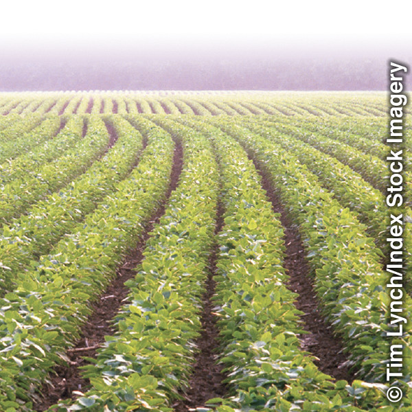 Umfanekiso okwiphepha 87